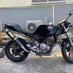 グース250 FCR【交換可能】
