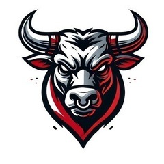  【沖縄／社会人バスケ】センター経験者募集🏀週2！リーグ戦…
