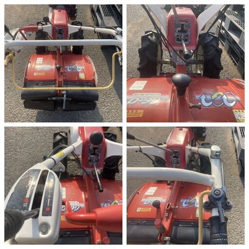【中国切手】T37+T37m 雲南のツバキ10種セット＋小型シート（未使用NH） 中国切手】雲南のツバキの種類や特徴、小型シートの市場価値や
