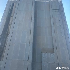 広島で鳶の画像