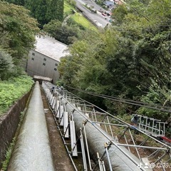 広島で鳶の画像