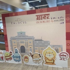 歴史やお城巡り、博物館巡りに興味のある方とつながりたい。 - 和泉市