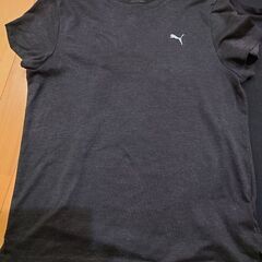 レデースＴシャツ2枚の画像