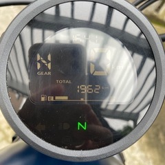2020年式　レブル250 マットブルー の画像