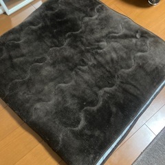 カーペット　ダークブラウン