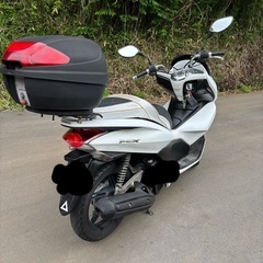 PCX jf28の画像