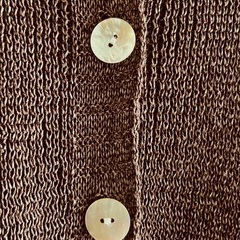 貝ボタン付きサマーセーターの画像