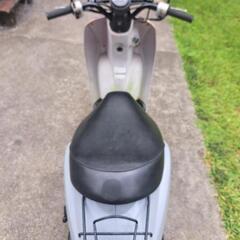 ホンダ　トゥデイ50の画像