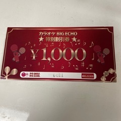ビッグエコー カラオケ ¥1,000割引券　 BIGECHO