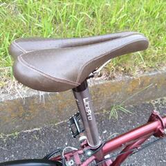 ダホン  折りたたみ自転車　カスタムの画像