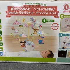 ディズニー メリーの画像