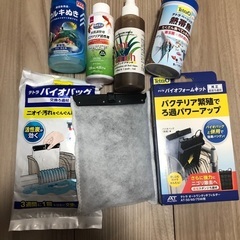 水槽 51.5cm 熱帯魚 小物セット グッピー エビ 水草 流木の画像