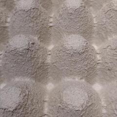 たまごパック　卵パック　爬虫類　デュビア　コオロギ