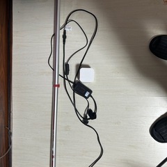 アロワナテンニングライトの画像