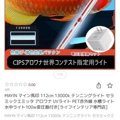アロワナテンニングライト
