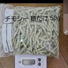 チモシーの穂だけ50g【藤岡市】うさぎ・モルモットに🌿チモシーの...