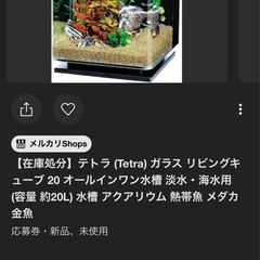 水槽の画像