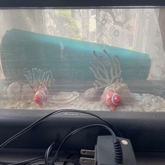 アクワ　ワールド　ニモ　水槽おもちゃ