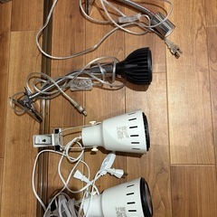 植物育成用ライト3個＋ソケット4個