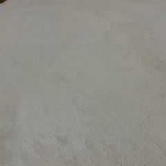 ラビットファー ラグ 200×250