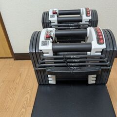 FIELDOOR アジャスタブルダンベル ブロックダンベル 2個セット