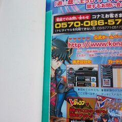 デュエルターミナル　アクセラレーションガイドの画像