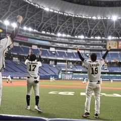 新メンバー大募集！(毎週土曜日、男女混合野球) − 大阪府