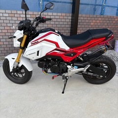 極上車　HONDA GROM