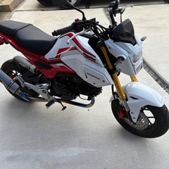 極上車　HONDA GROMの画像