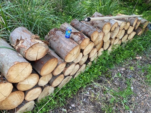 薪（広葉樹）一立米