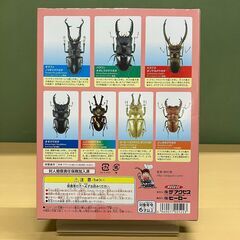 立体昆虫図鑑 世界のクワガタの画像