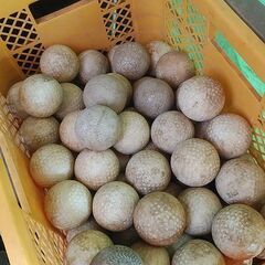 バッティング センター 中古 ボール 1球11円　合計90球