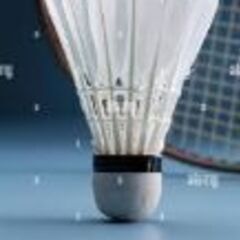 イワッコマバドミントン🏸