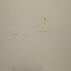 正方形　カラーボックス　4個の画像