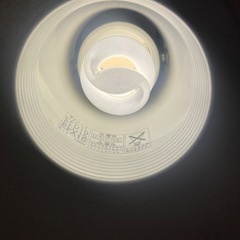 national  電球形蛍光灯 パルック色EFD10EN/8/E17 40W形の画像