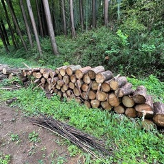 ヒノキの丸太（ガーデニング、アウトドア、薪などに）