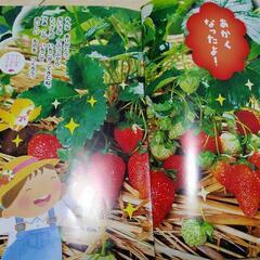 チャイルドブック16冊セット 年中用 エースひかりのくに 知育絵本 子供用 の画像