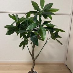フェイクグリーン/人工観葉植物(パキラ)