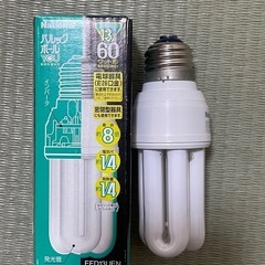 パルックボールYOUの画像