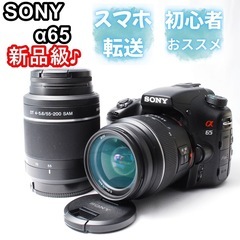 日常が芸術に変わる　SONY α65 ダブルレンズ　高速AF ソ...