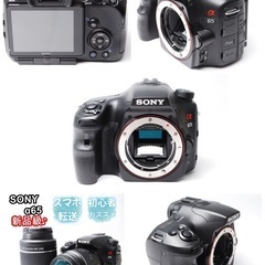 日常が芸術に変わる SONY α65 ダブルレンズ 高速AF ソニー 一眼レフ