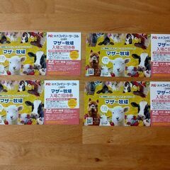 マザー牧場　入場招待券　４枚