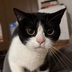 ランキングキーワードに紐づく投稿画像-迷子