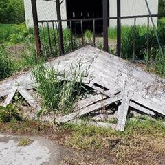 屋根骨組み 2.5間