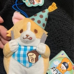忠犬もちしば コーギー 誕生日ぬいぐるみ 手のひらサイズ