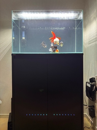 60cm水槽。水槽台付き。