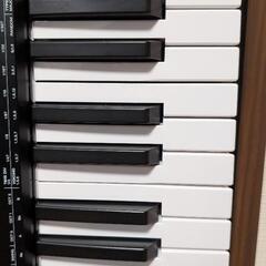 M-Audio 49鍵USB MIDIキーボード Oxygen 49 MKVの画像