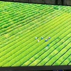REGZA 50インチの画像