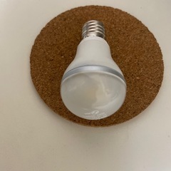 シャープ 【生産完了品】LED電球 ELM[エルム] 調光器・密閉形器具対応モデル 小形白熱電球40W形相当 全光束460lm 昼白色相当 E17口金 DL-JA4ANの画像