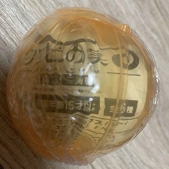 【ガチャ】ワンピの実　第二十二海戦　ネフェルタリ・ビビ　新品未開封の画像